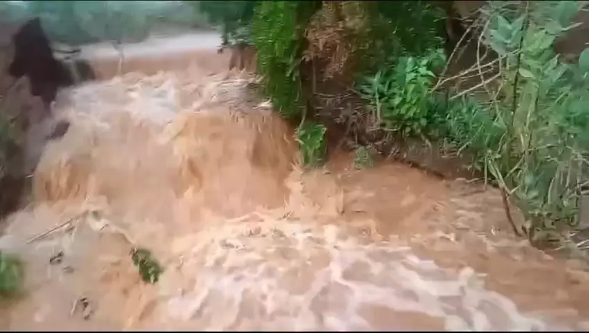 அரசகவுண்டனூர் செம்மடை குளம் கரை உடைப்பு அரசகவுண்டனூர் செம்மடை குளம் கரை உடைப்பு