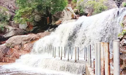 திருமூர்த்திமலை பகுதியில் பலத்த மழை: பஞ்சலிங்க அருவியில் சுற்றுலா பயணிகள் குளிக்க தடை