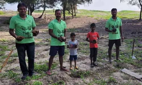 தனசுந்தராம்பாள் அறக்கட்டளை சார்பில் 500 பனைவிதை நடவு