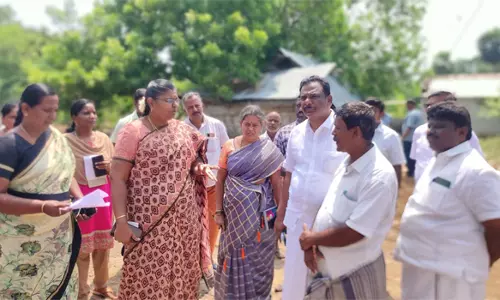 ஜேடர்பாளையம் அருகே வாழை, பாக்கு மரங்கள் வெட்டி சாய்த்த பகுதிகளை கலெக்டர் ஆய்வு