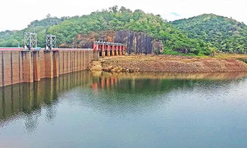 மாஞ்சோலை எஸ்டேட் பகுதிகளில் மழை நீடிப்பு- பாபநாசம் அணைக்கு நீர்வரத்து அதிகரிப்பு