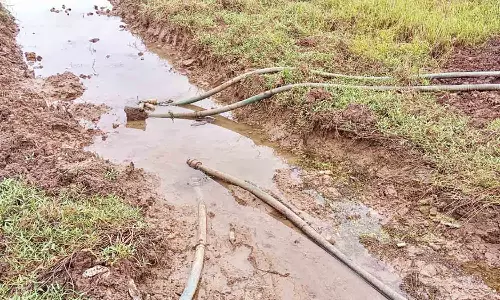 தண்ணீர் இல்லாததால் மழைநீரை இறைத்து குறுவை சாகுபடி செய்யும் விவசாயிகள்