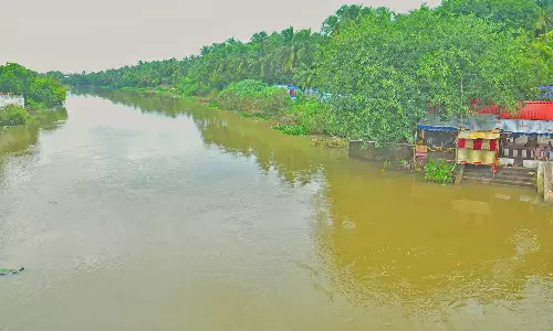 திற்பரப்பில் 82.4 மில்லி மீட்டர் மழை