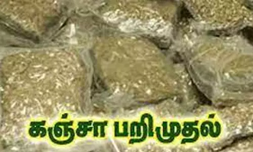 2 கிலோ கஞ்சா கடத்திய 3 பேர் கைது