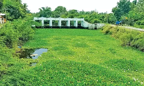 ஆற்றை ஆக்கிரமித்துள்ள ஆகாயத்தாமரை செடிகள் அகற்றப்படுமா?