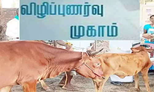 திருப்பூர் மாவட்டத்தில் கனரா வங்கி சார்பில் சிறப்பு கடன் முகாம்