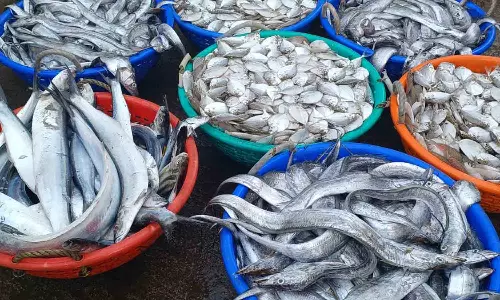 புரட்டாசி மாதம் முடிந்து முதல் ஞாயிற்றுக்கிழமை: இறைச்சி கடைகளில் குவிந்த அசைவ பிரியர்கள்