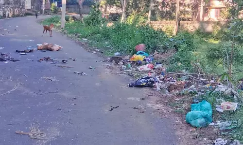 நுள்ளிவிளை ஊராட்சியில் குவிந்து கிடக்கும் கழிவுகளால் டெங்கு பரவும் அபாயம்