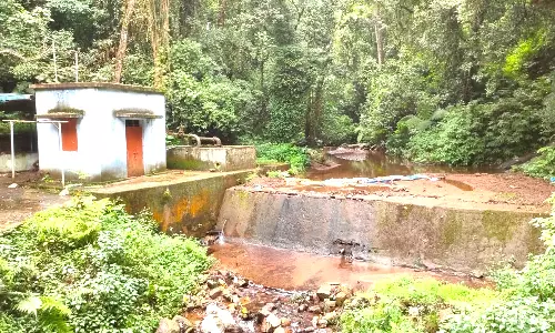குன்னூர் கரன்சி தடுப்பணையை தூர்வார வேண்டும்- பொதுமக்கள் நகராட்சிக்கு கோரிக்கை