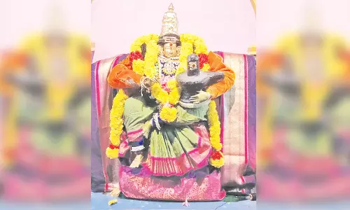 நாகை பகுதி கோவில்களில் நவராத்திரி விழா