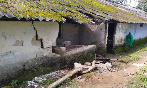 வால்பாறை அருகே ஊருக்குள் புகுந்து வீட்டை சேதப்படுத்திய காட்டு யானைகள்