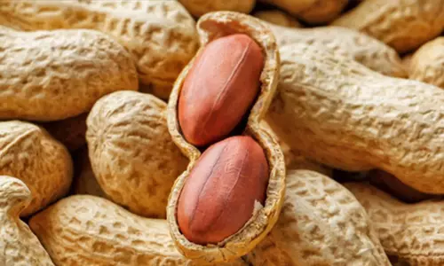 நிலக்கடலையில் புழுக்களை கட்டுப்படுத்த வேளாண் அதிகாரி ஆலோசனை