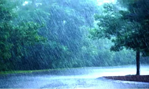 சேலம், நாமக்கல் மாவட்டங்களில் மழை நீடிப்பு