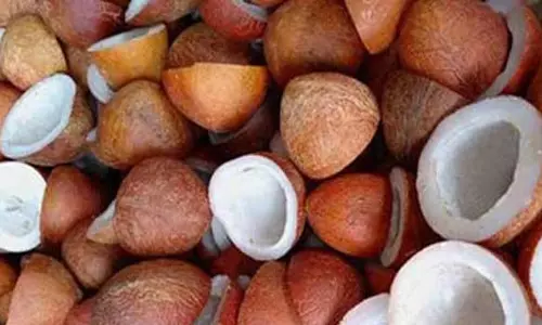 கொங்கணாபுரத்தில் தேங்காய் கொப்பறை விற்பனை அதிகரிப்பு