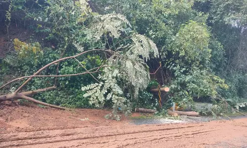 கோத்தகிரியில் கொட்டி தீர்த்த கனமழை: 5 இடங்களில் மண்சரிவு-மரங்கள் முறிந்து விழுந்தன