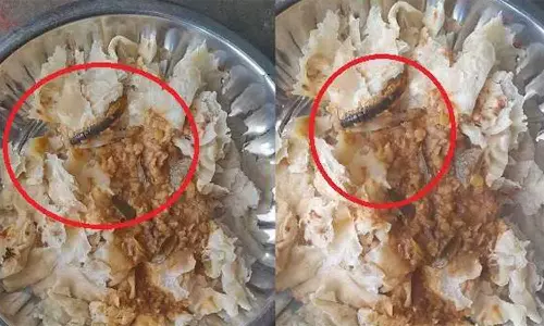 குருமா பார்சலில் இறந்த நிலையில் பூரான்