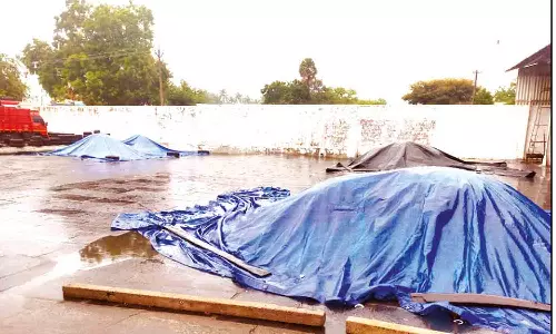 மழையால் தேங்காய் உலர் களங்களில் பணிகள் பாதிப்பு