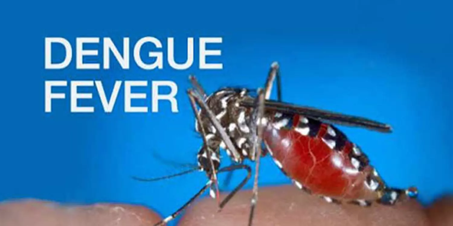 வியட்நாமில் டெங்கு நோய் பரவல் அதிகரிப்பு