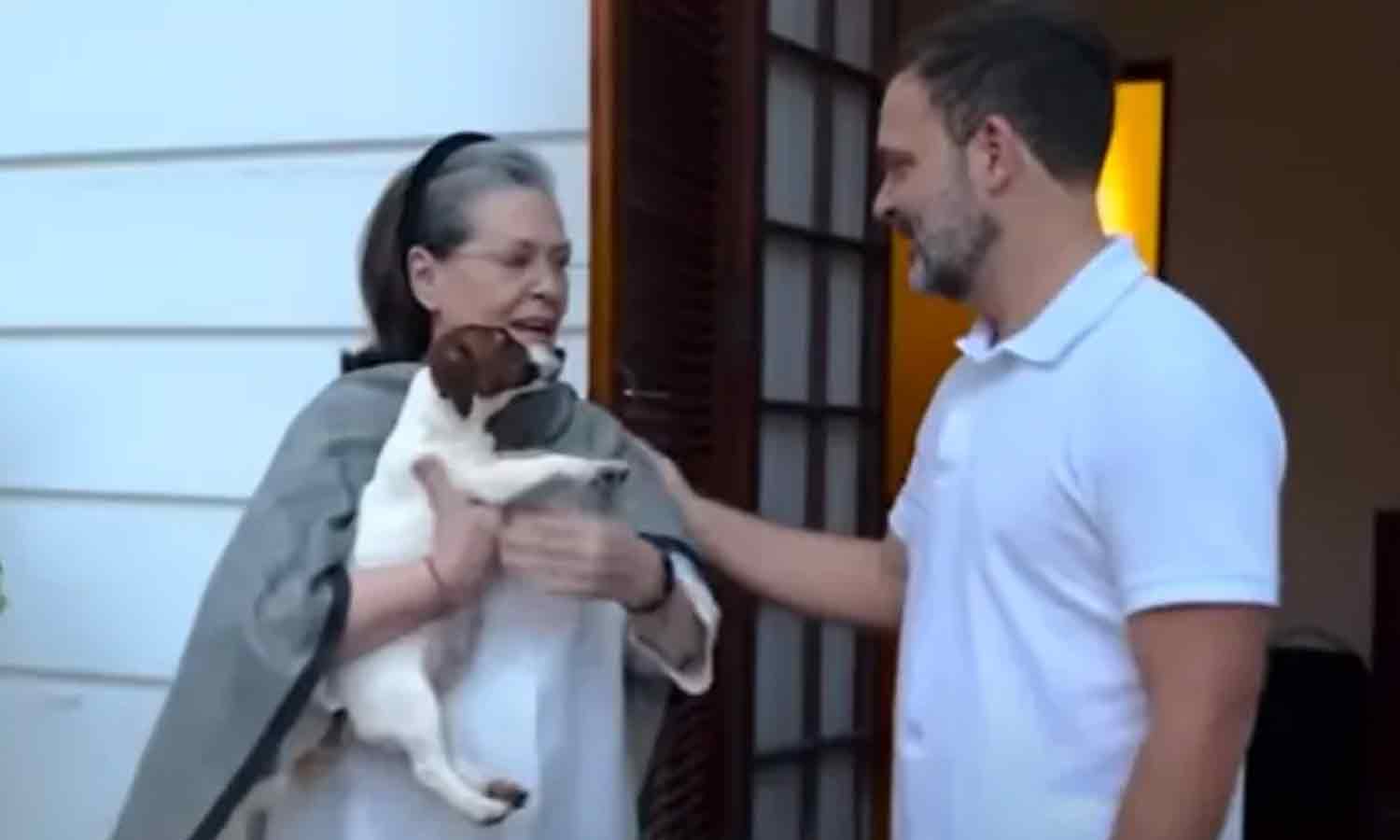 மத உணர்வுகளை புண்படுத்தியதாக ராகுலுக்கு எதிராக வழக்கு