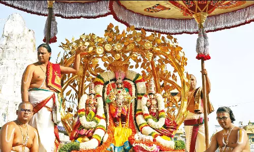 நவராத்திரி பிரம்மோற்சவம்: கல்ப விருட்ச வாகனத்தில் மலையப்பசாமி வீதிஉலா