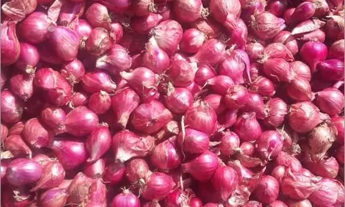 நாகர்கோவிலில் சின்ன வெங்காயம் கிலோ ரூ.100-க்கு விற்பனை