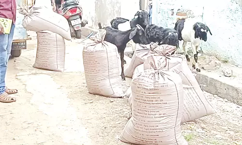 சாலையில் கேட்பாரற்று கிடந்த 450 கிலோ ரேஷன் அரிசி: அதிகாரிகள் விசாரணை