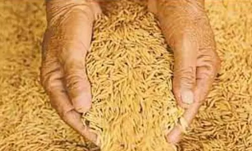 உரிய ஆவணங்கள் இல்லாமல் விற்பனைக்கு வைக்கப்பட்டிருந்த 36 டன் எடையுள்ள விதை நெல் - விற்பனைக்கு அதிகாரிகள் தடை