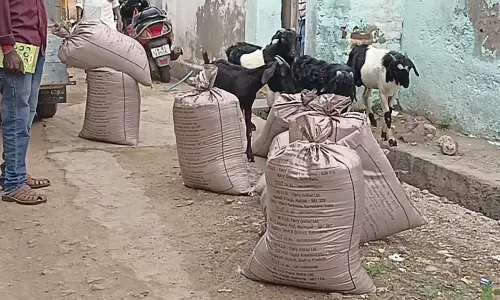 சாலையில் கேட்பாரற்று கிடந்த 450 கிலோ ரேஷன் அரிசி