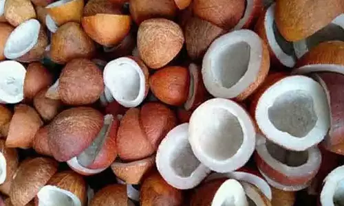 வேலூர் மாவட்டத்தில் கொப்பரை தேங்காய் கொள்முதல் அறிவிப்பு