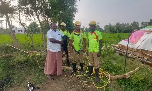 கிணற்றில் தவறி விழுந்த ஆடு