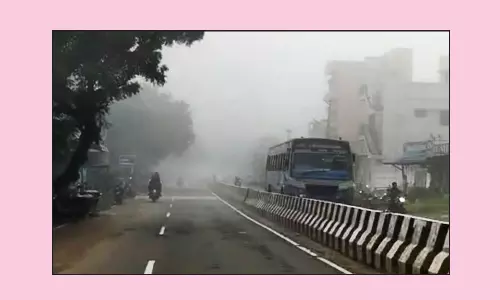 அதிகாலை பனிப்பொழிவால் வாகன ஓட்டிகள் அவதி