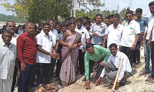 திருச்செந்தூர் குளத்தின் கரைகளில் பனை மர விதைகள் நடும் விழா