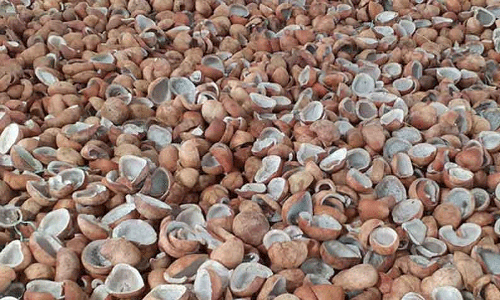 ரூ.8 லட்சத்து 59 ஆயிரத்துக்கு விளைபொருட்கள் ஏலம்