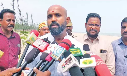 நாகை மாவட்டத்தில் 7 லட்சம் பனை விதைகள் விதைக்கபட்டுள்ளது