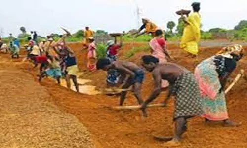 3 மாதங்களாக ஊதியம் வழங்காததால்100 நாள் வேலை திட்ட தொழிலாளர்கள் தவிப்பு