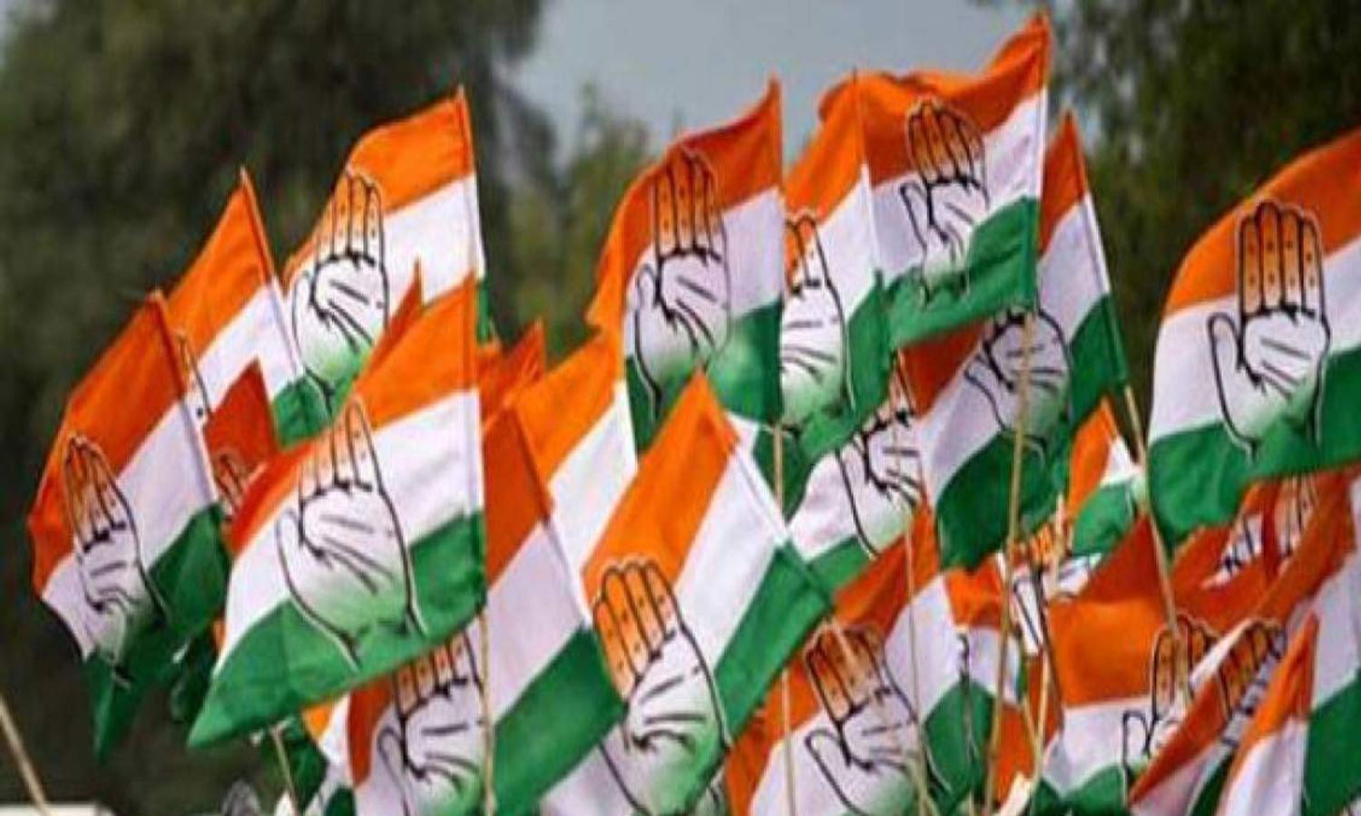 ம.பி.: சொந்த வேட்பாளர்களை எதிர்த்து போட்டி- 39 தலைவர்களை கட்சியில் இருந்து நீக்கியது காங்கிரஸ்