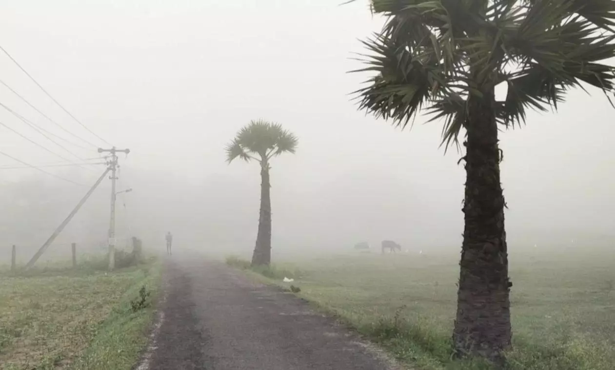 சாலையை முழுமையாக மூடிய கடும் பனிபொழிவு சாலையை முழுமையாக மூடிய கடும் பனிபொழிவு