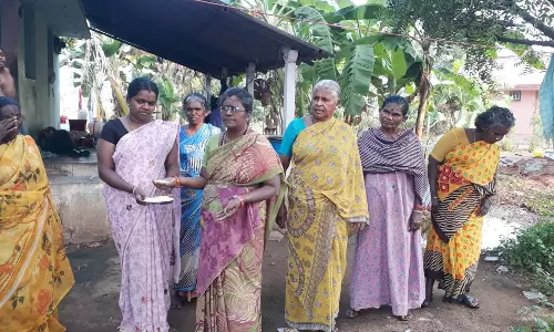 நிலக்கோட்டையில் பிளாஸ்டிக் அரிசி விற்பனை செய்யப்படுவதாக வதந்தி - வீடு வீடாக அதிகாரிகள் விழிப்புணர்வு