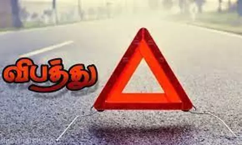 சரக்கு வாகனம் மோதி விவசாயி பரிதாப சாவு