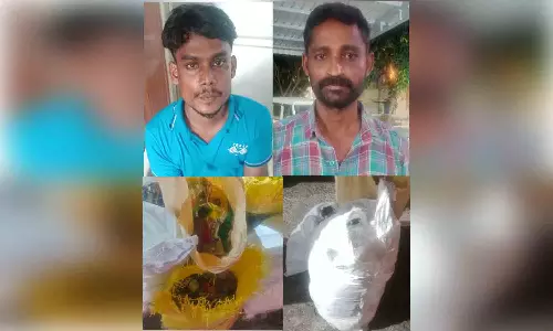 திருப்பூரில் காரில் புகையிலை பொருட்கள் கடத்தி வந்த  2பேர் கைது