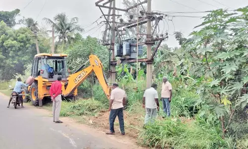 மின்சார டிரான்ஸ்பார்மர்களை சுற்றியுள்ள செடி,கொடிகள்