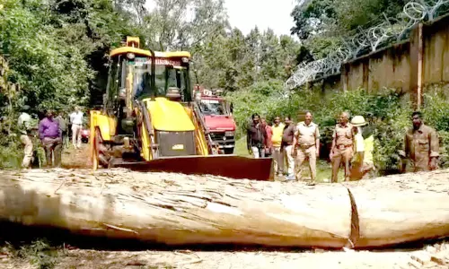 குன்னூர் அருகே ராட்சத மரம் விழுந்து போக்குவரத்து பாதிப்பு