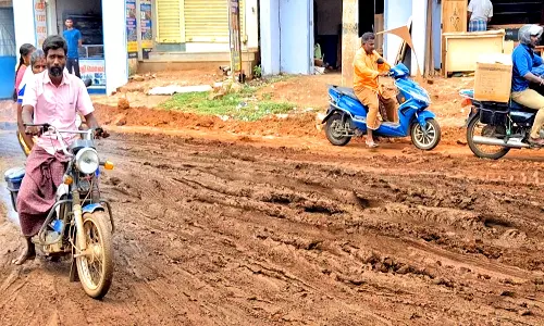 ரெயில்வே மேம்பால பணிகள் நடைபெறும்  பாவூர்சத்திரத்தில் முறையாக சர்வீஸ் சாலைகள் அமைக்க வேண்டும்-சமூக ஆர்வலர்கள் கோரிக்கை