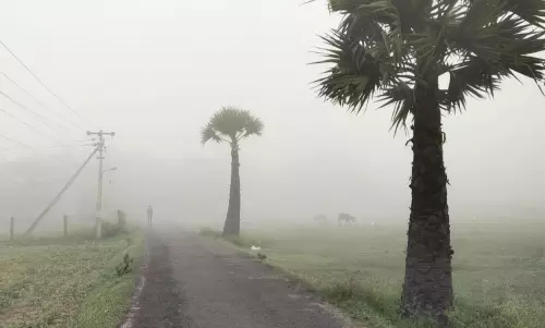 சாலையை முழுமையாக மூடிய கடும் பனிபொழிவு