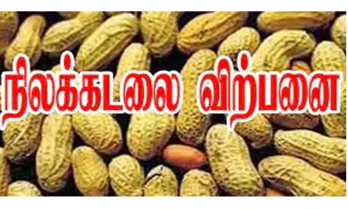அரசு வேளாண் ஒழுங்கு முறை விற்பனை கூடத்தில் நிலக்கடலை ரூ.3.32 லட்சத்துக்கு விற்பனை