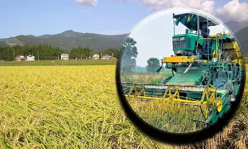அமராவதி பழைய ஆயக்கட்டு பாசனப் பகுதிகளில் நெல் அறுவடை பணி தொடங்கியுள்ளது