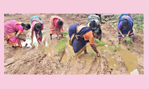 சாலையில் நாற்று நட்டு  கிராம மக்கள் நூதன  போராட்டம்