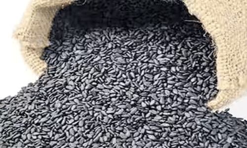 ரூ.3.25 லட்சத்துக்கு தேங்காய் பருப்பு, எள் ஏலம்