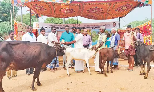ஆழ்வார்திருநகரி அருகே கால்நடை சுகாதார விழிப்புணர்வு முகாம்