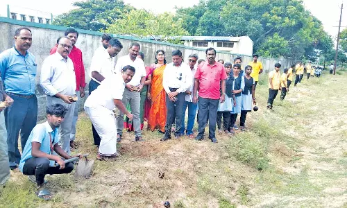 1000 பனை விதைகள் விதைக்கும் பணி தொடக்கம்